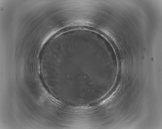 X0000068290925200604241255