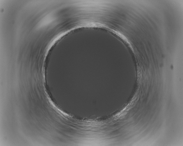 X0000068290935200604241255