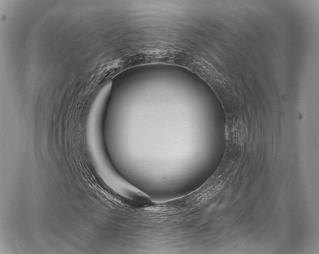X0000068290961200604241254