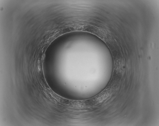 X0000068290962200604241254