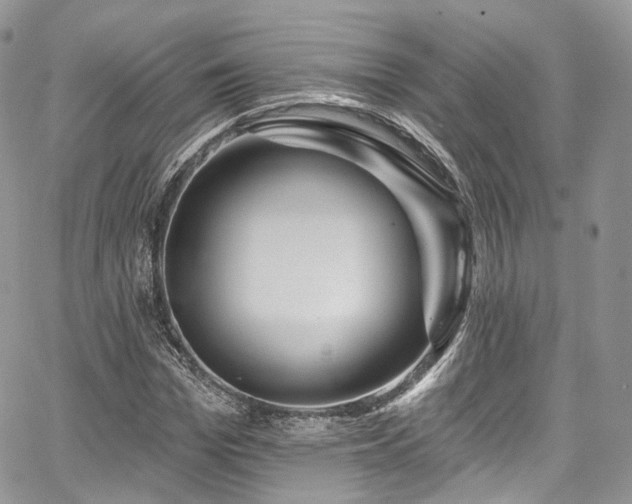 X0000068290969200604241254