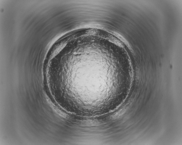 X0000068290980200604241254