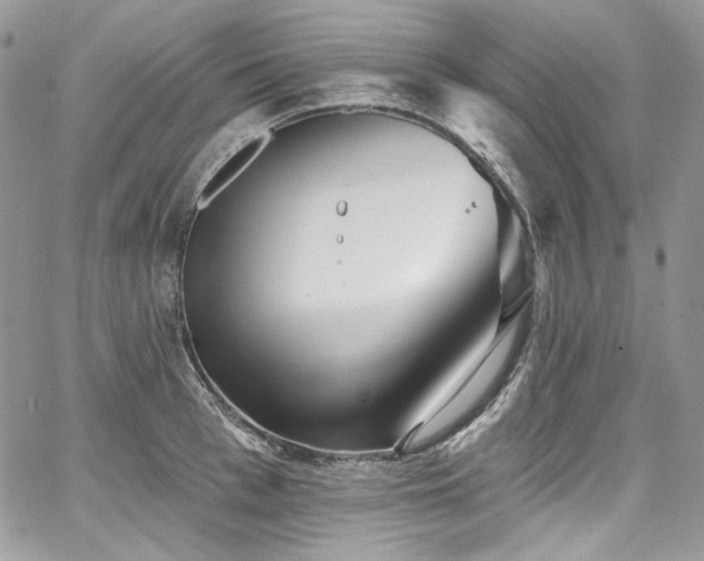X0000068290993200604241254