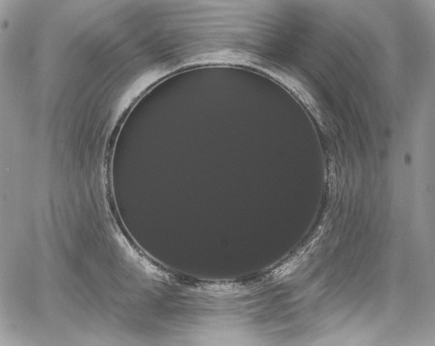X0000068290998200604241254