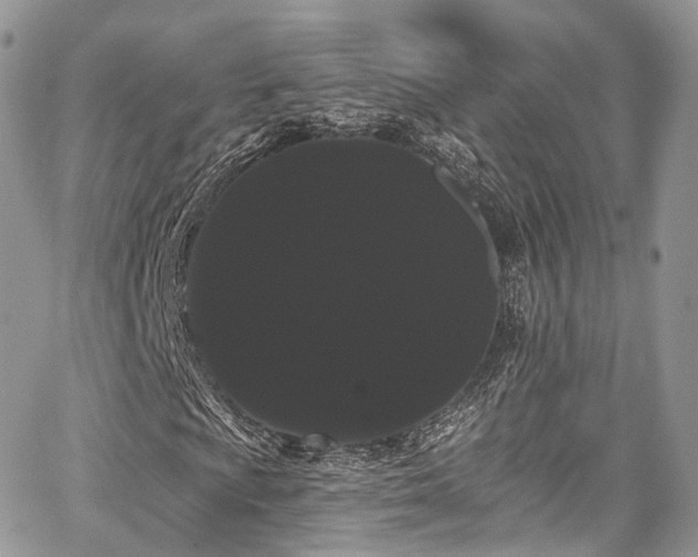 X0000068291009200604241253