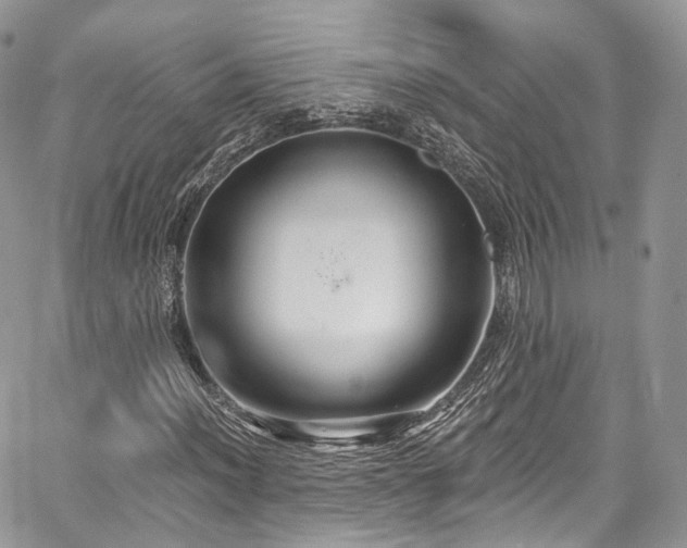 X0000068291012200604241253