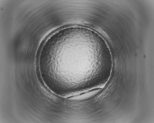 X0000068291020200604241253