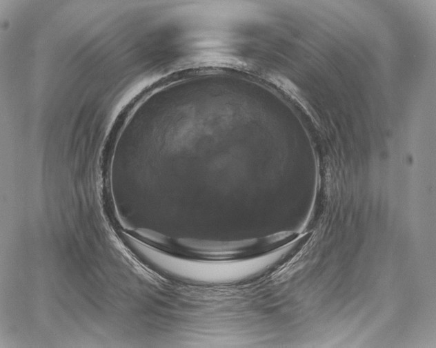X0000068291024200604241253