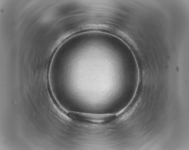 X0000068291033200604241253