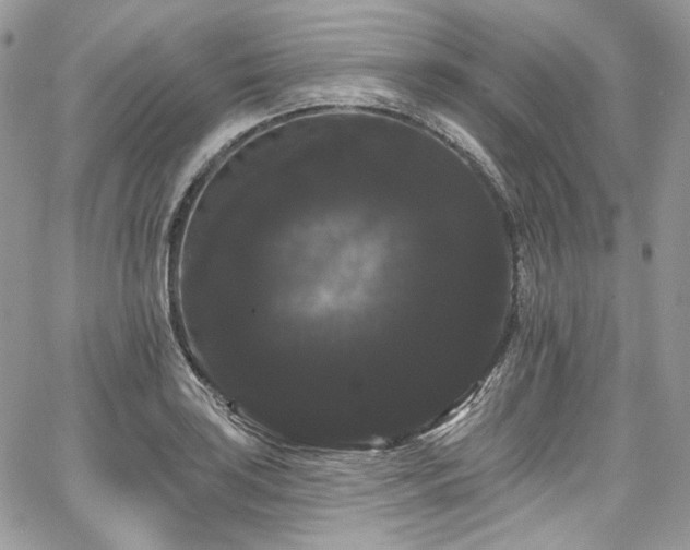 X0000068291035200604241253