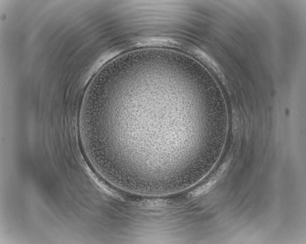 X0000068291041200604241253