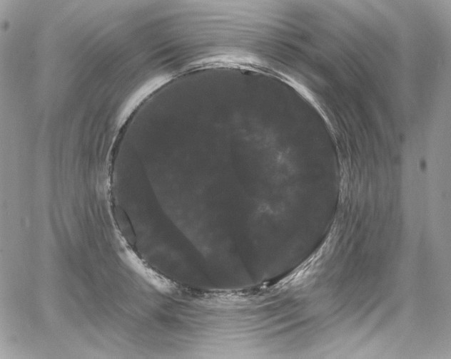 X0000068291042200604241253
