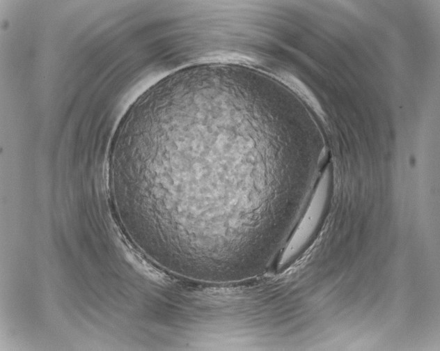X0000068291044200604241253