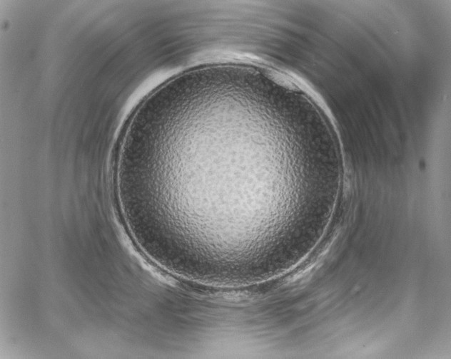 X0000068291053200604241254