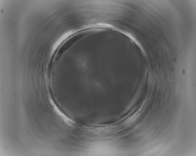 X0000068291054200604241254