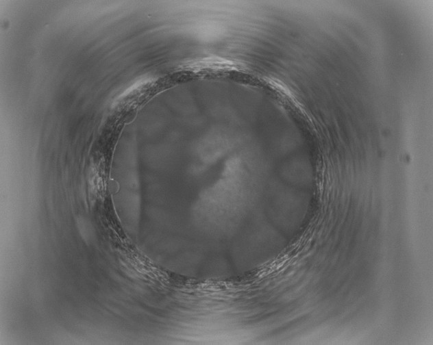 X0000068291063200604241253