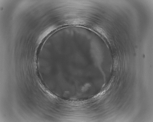 X0000068291071200604241253