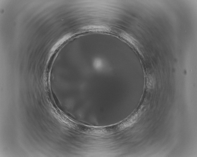 X0000068291074200604241252