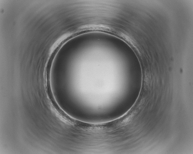 X0000068291082200604241252