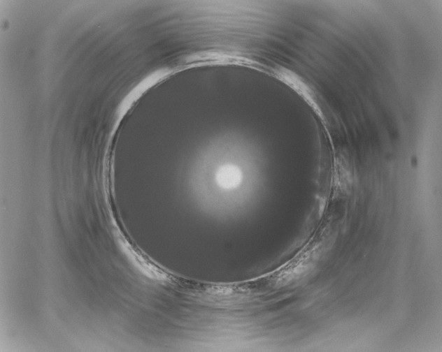X0000068291098200604241252