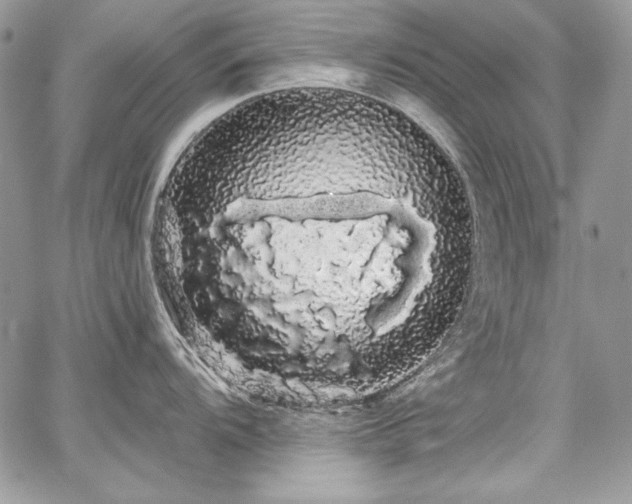 X0000068291104200604241252
