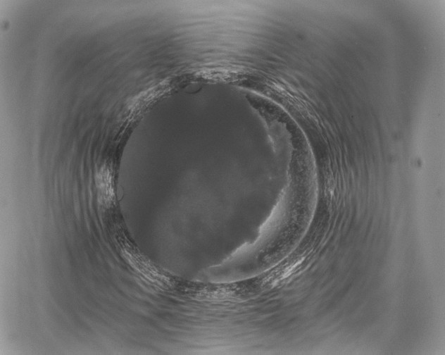 X0000068291106200604241251