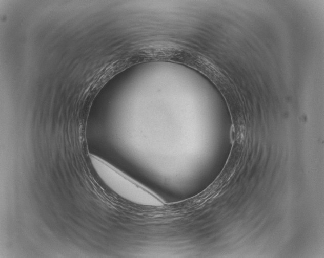 X0000068291108200604241251