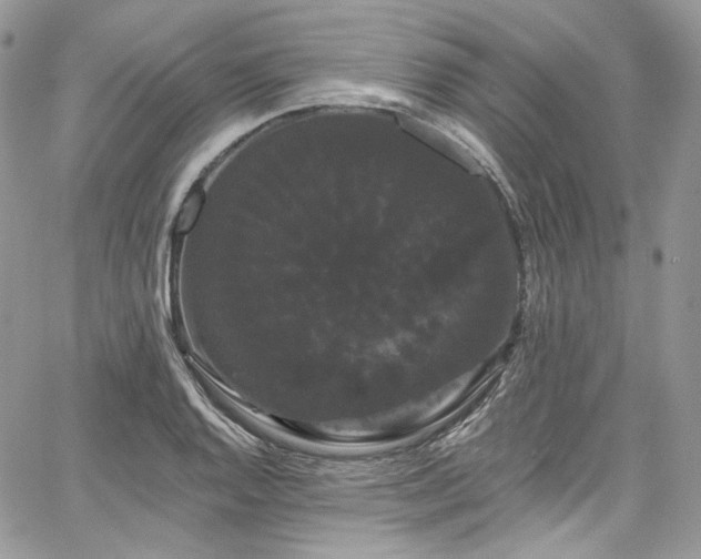 X0000068291128200604241252