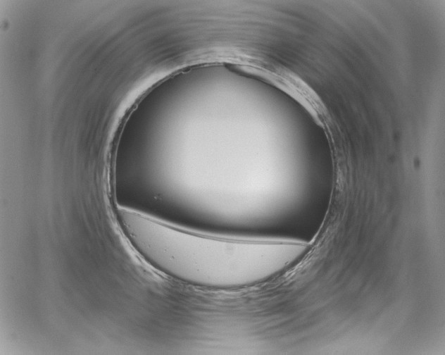 X0000068291144200604241252