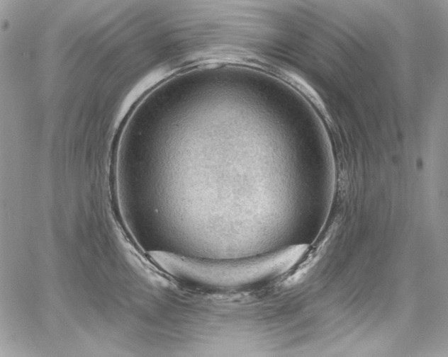 X0000068291146200604241252