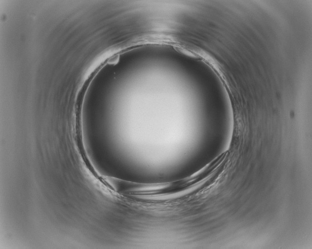 X0000068291147200604241252