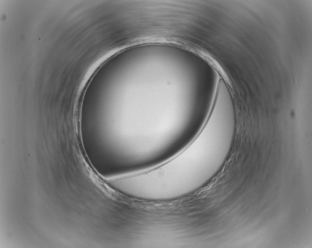 X0000068291148200604241252