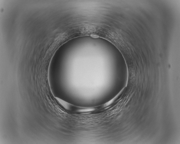 X0000068291153200604241251