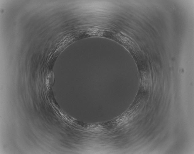 X0000068291154200604241251