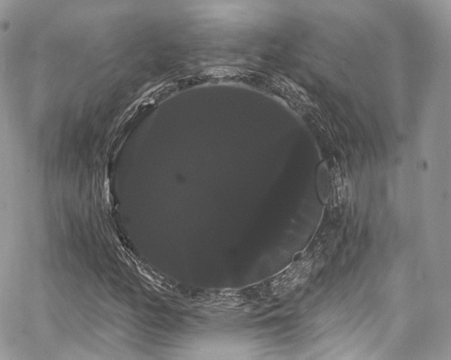 X0000068291158200604241251