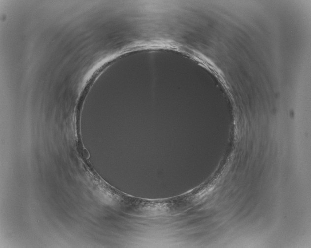 X0000068291174200604241251