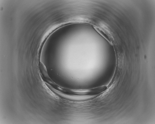 X0000068291192200604241251