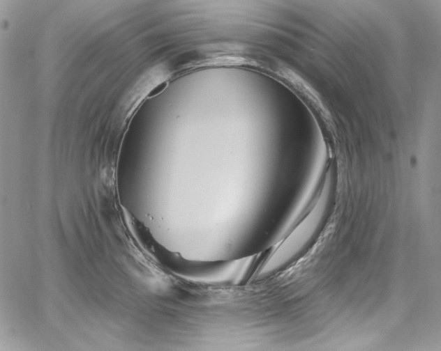 X0000068291193200604241250