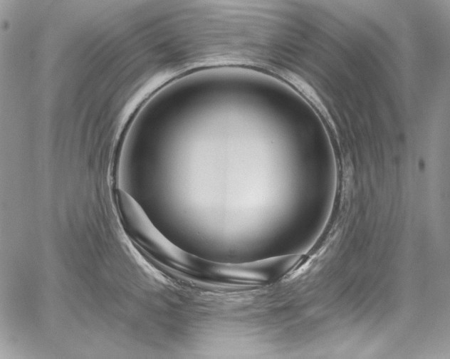 X0000068291197200604241250