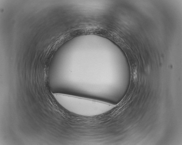 X0000068291204200604241250
