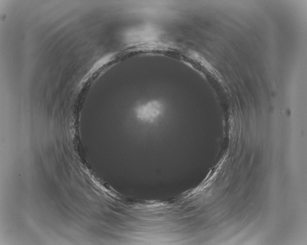 X0000068291213200604241250
