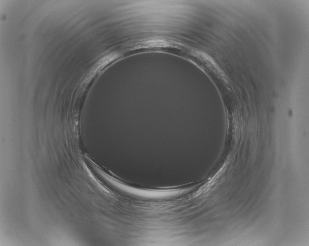 X0000068291225200604241250