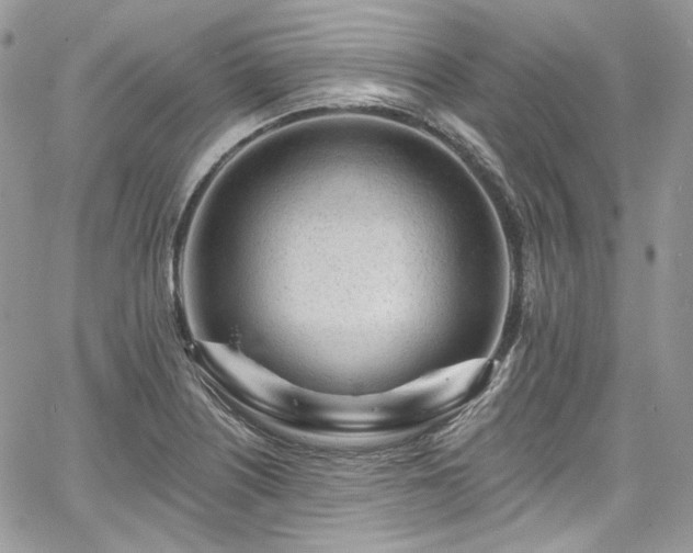 X0000068291226200604241250