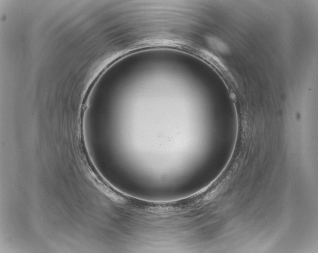 X0000068291236200604241250