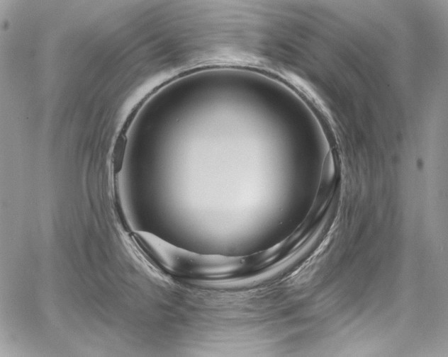 X0000068291238200604241250
