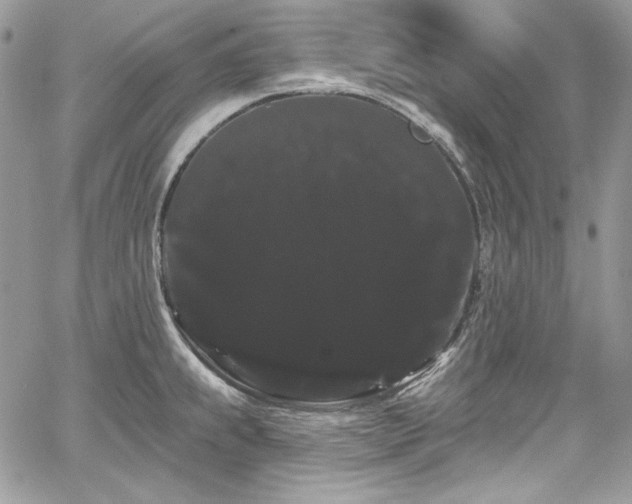 X0000068291239200604241250