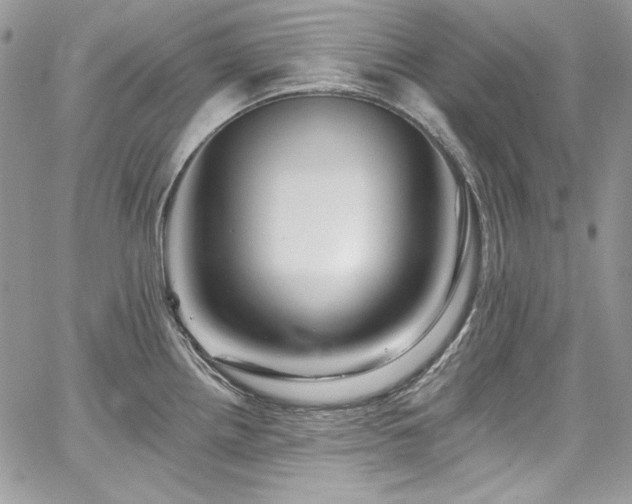 X0000068291242200604241250
