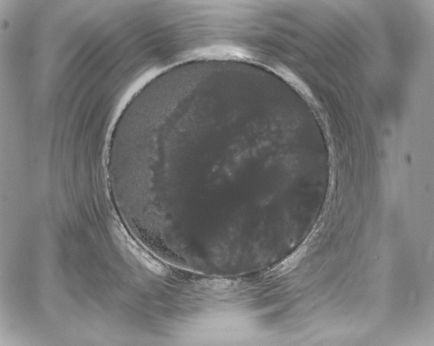 X0000068291248200604241250