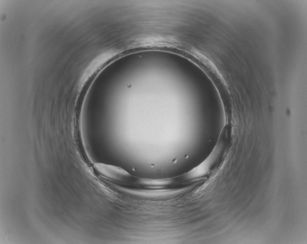 X0000068291277200604241249