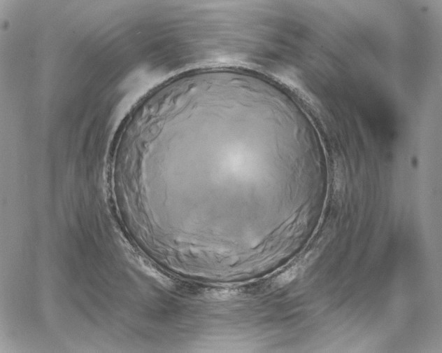 X0000068291278200604241249